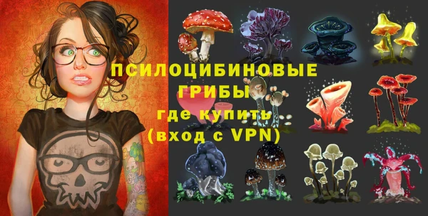 крисы Ладушкин
