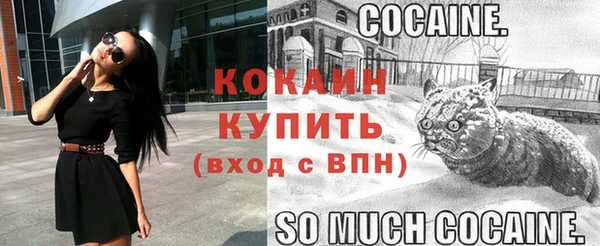 крисы Ладушкин