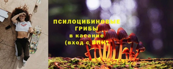 крисы Ладушкин