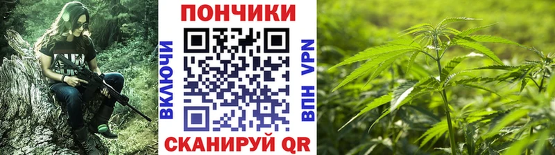 MEGA ТОР  Южа  Каннабис планчик  наркота 